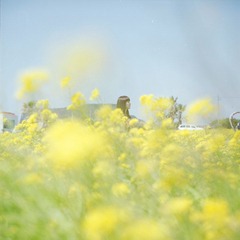 Batch Pict0009.jpg
