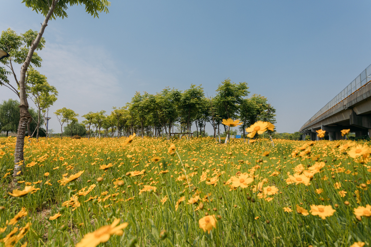 海宁长水塘湿地