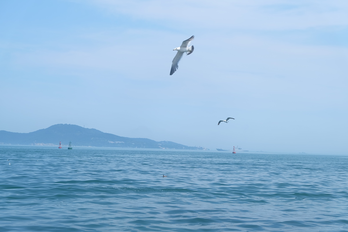 一个人的看海,静静的吹着海风,细数心事,再随着海浪带走. - yusaiy - 