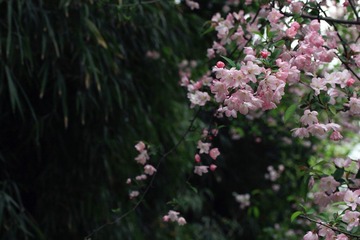 IMG_0155_副本.jpg