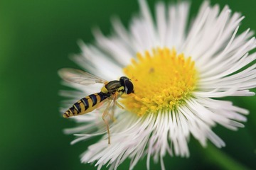IMG_9152_副本.jpg