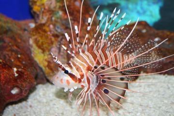 IMG_6044.JPG