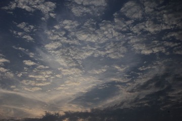IMG_6484.JPG
