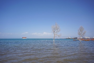4C435D0F-CBA3-41AF-A893-1EDFA73DBAC6/L0/001