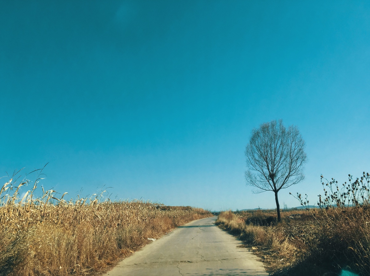 捧在手心里的温柔