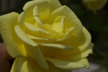 _IGP0907.jpg