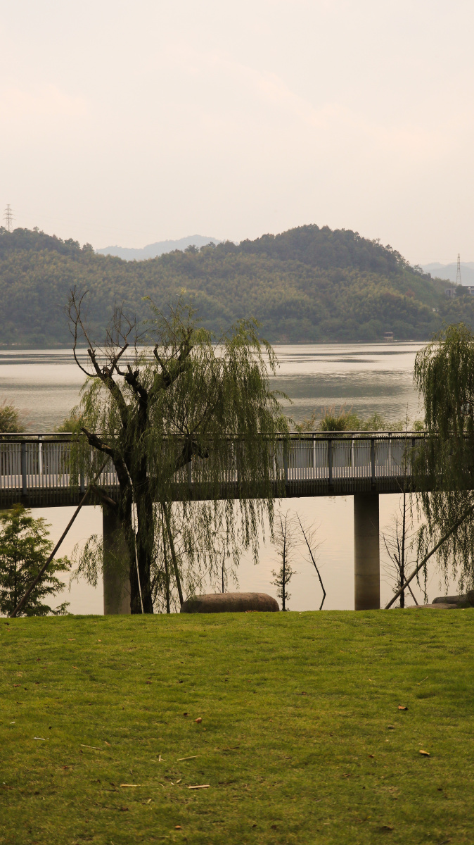 青山湖水上森林公园