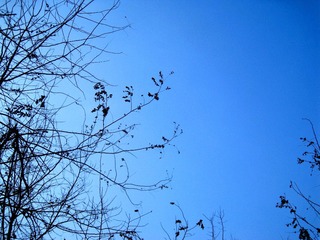 IMG_0839.JPG