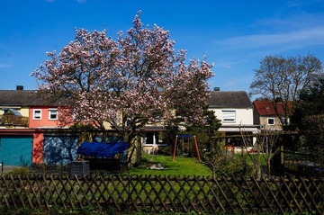 DSC05069.jpg