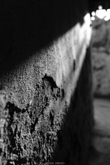 20130505-DSC00053.jpg