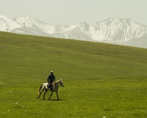 DSC_9934.jpg