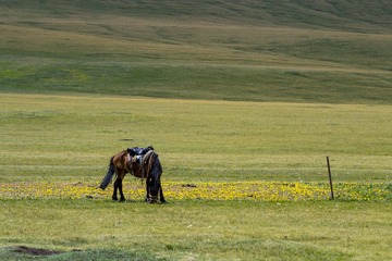 DSC_0619.jpg