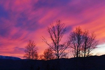 DSC_3104-