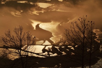 DSC_3944-