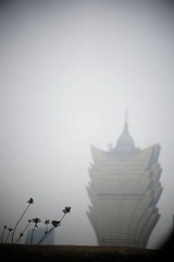 _DSC6042_调整大小