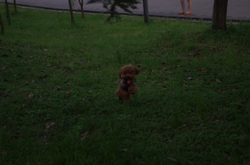 IMGP0317.JPG
