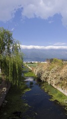 DSC02857.jpg