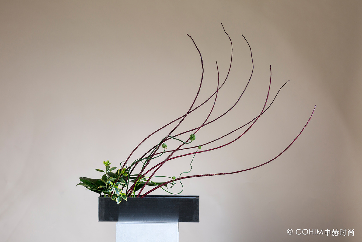 中国现代花艺设计课 - 中赫时尚花艺培训吗 - 图虫网 - 优质摄影师交