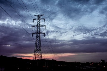 IMG_1431.jpg