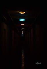 IMG_03001.jpg
