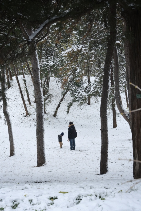 霍俊峰的最新作品