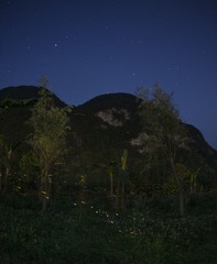 _MG_5652.jpg