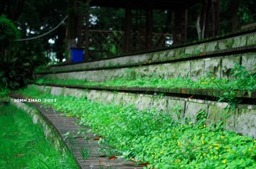 IMGP1303.jpg