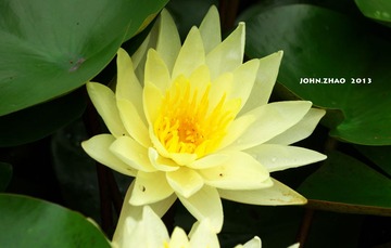 IMGP1453.jpg