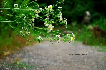 IMGP1471.jpg