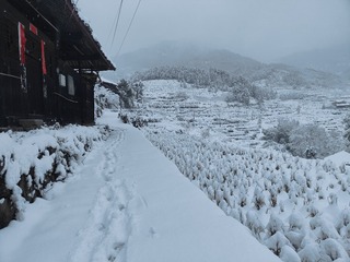 1000107223
