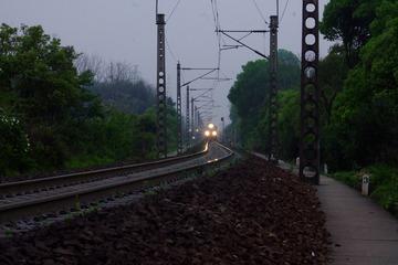 11376428