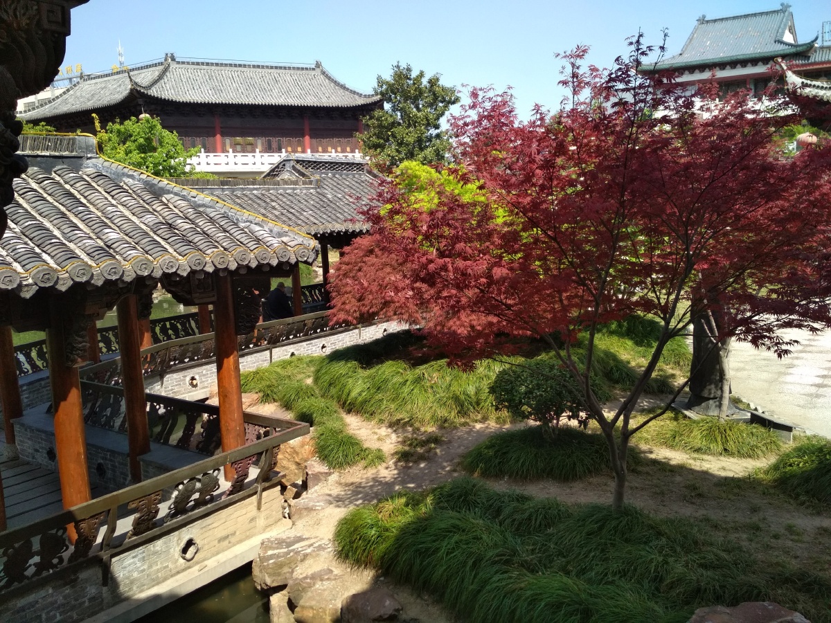 纵棹园