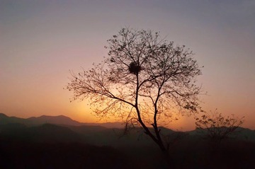 缩小15.jpg