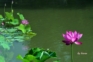 缩小1
