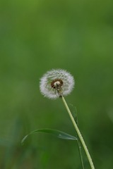 1289564