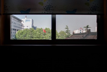 JZH_5629