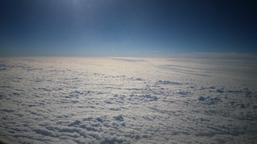 509881