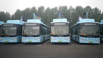 446451