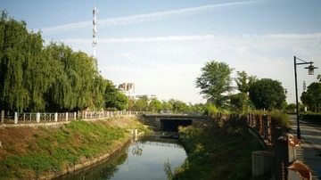 300528