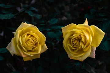371278