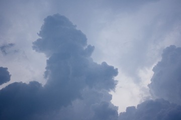 _MG_0542.jpg