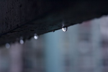 _MG_0530.jpg