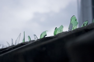 _MG_0557.jpg