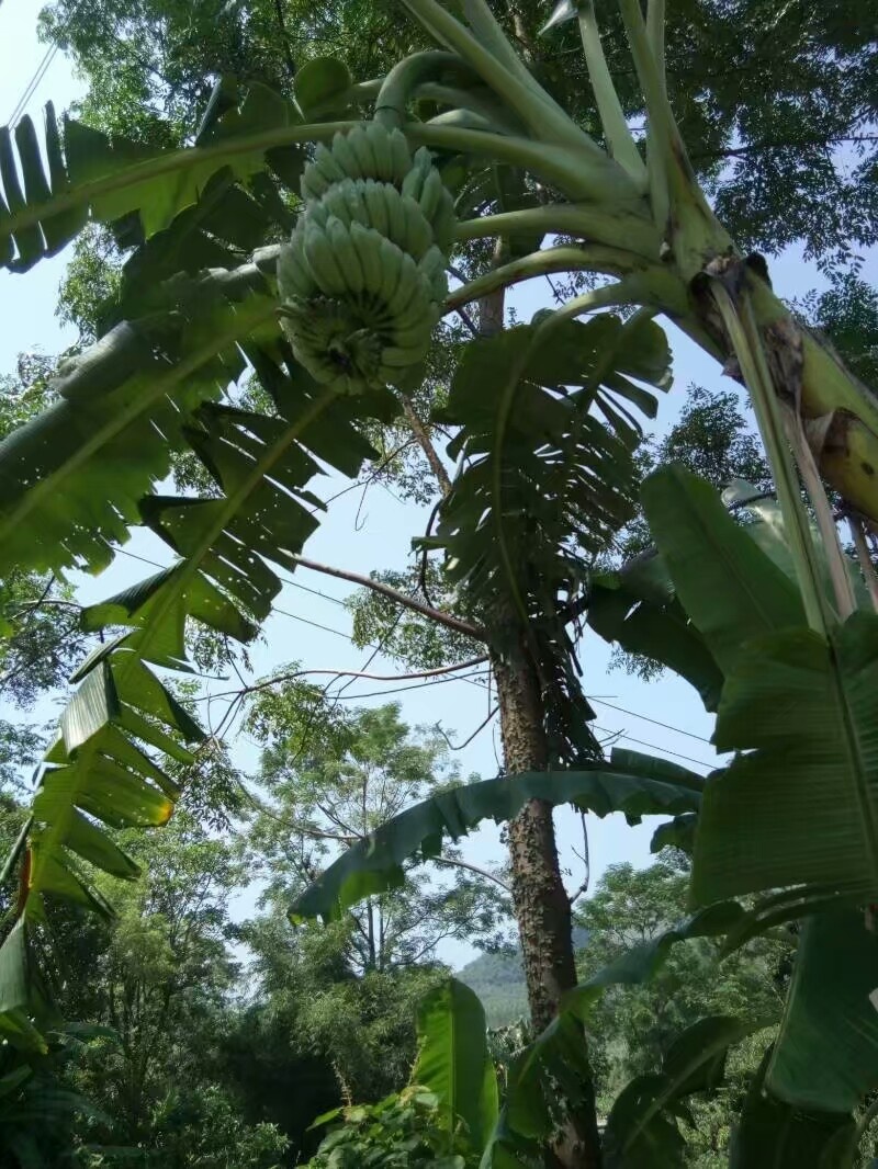 看看世界有多大