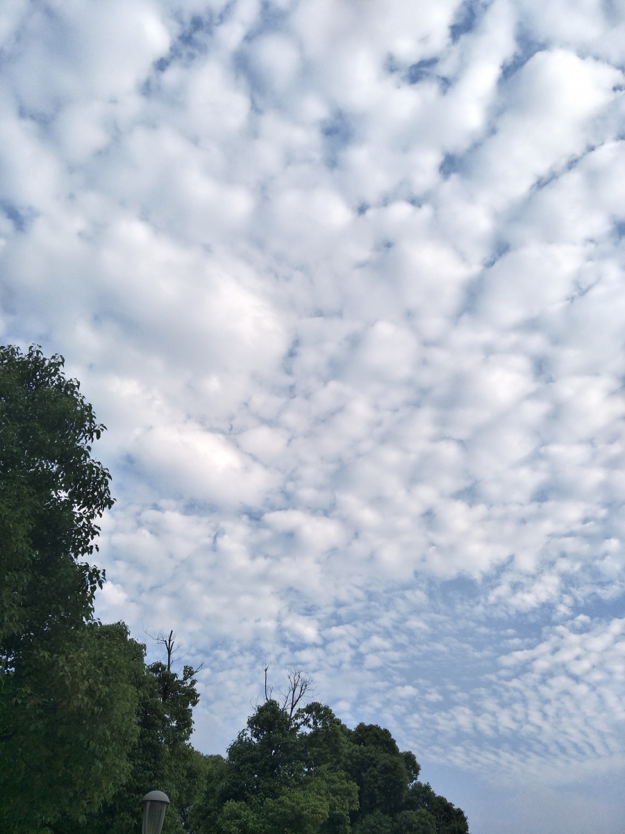 最喜欢拍天空了