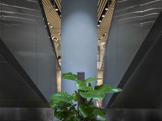 L1003380.jpg