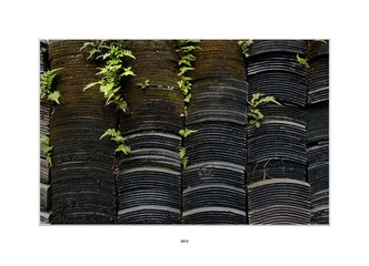 DSCF2969a