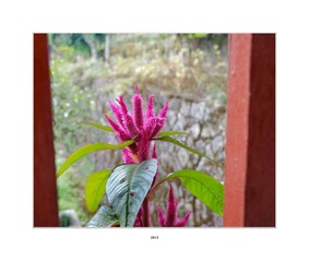 DSCF2983a