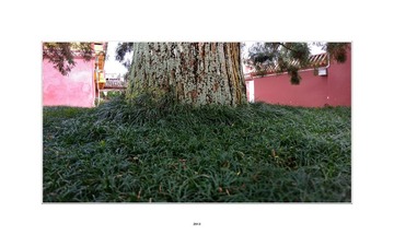 DSCF2967a