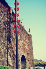_IGP9175_conew1